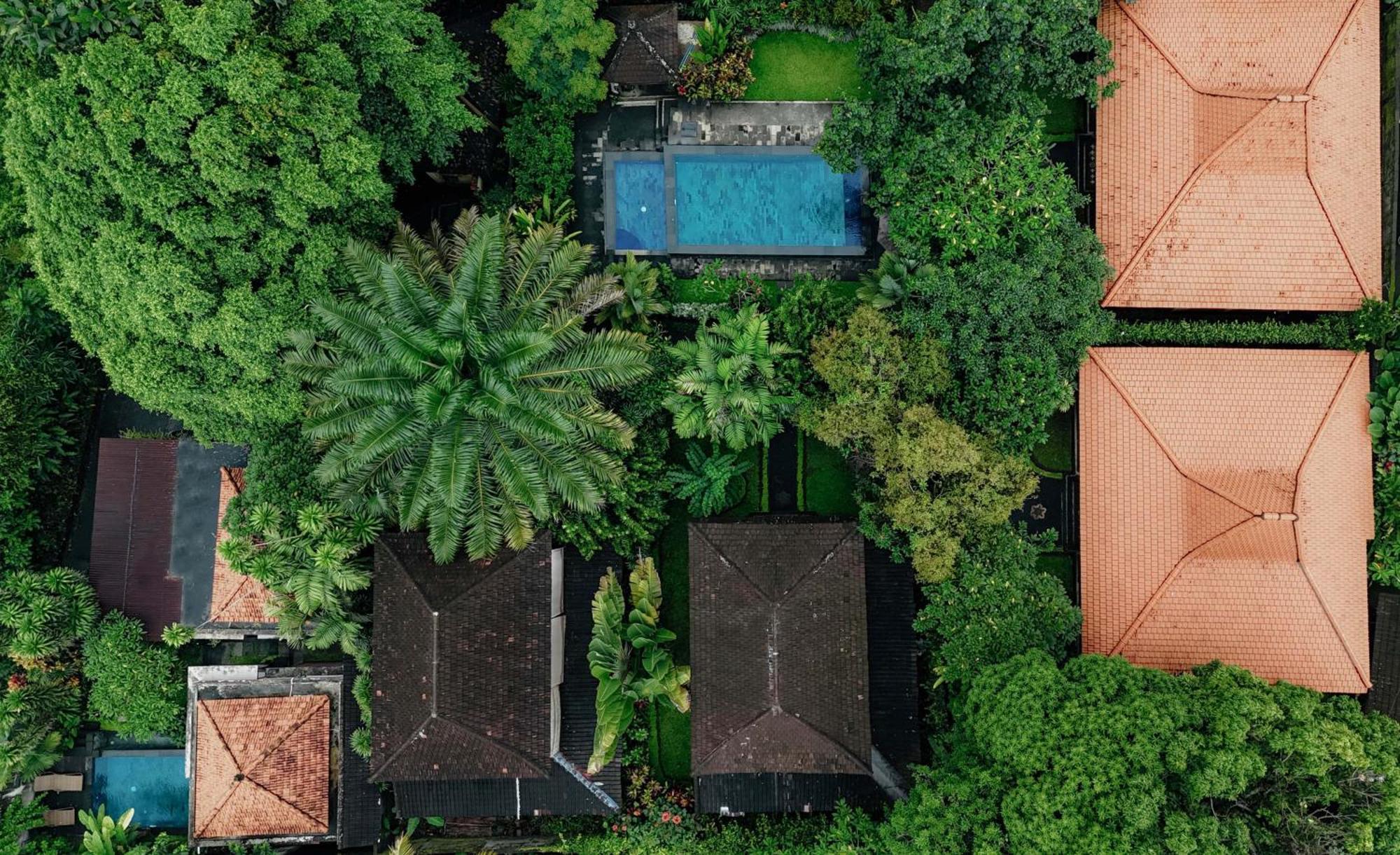 Sari Bamboo Villas Ubud  Luaran gambar